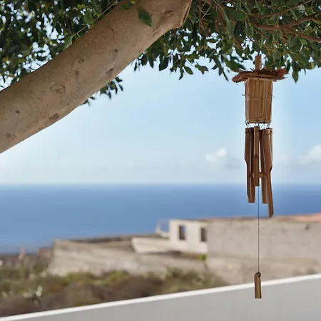 Pisaverde * 塔科龙特